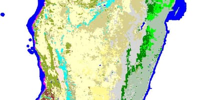 Mapa ng Madagascar mga halaman